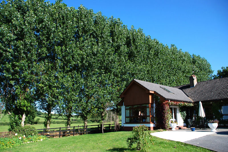 The Bungalow Farmhouse Clomantagh Zewnętrze zdjęcie